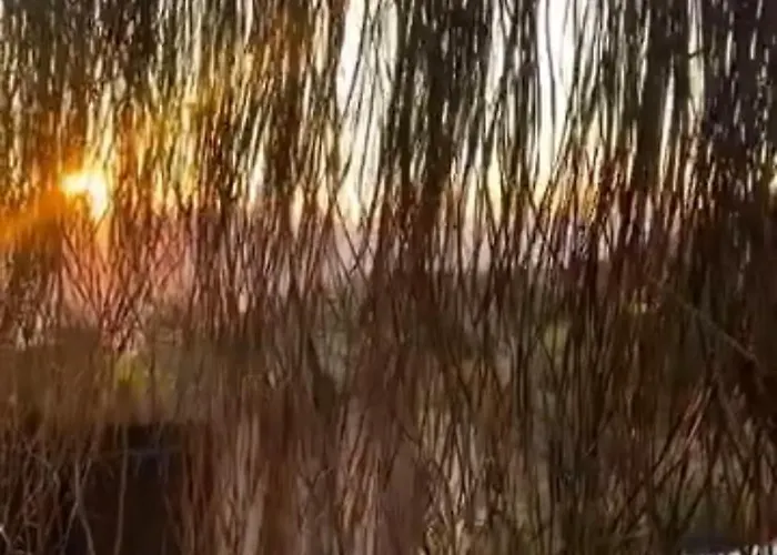 Myway Kalkan 别墅 *