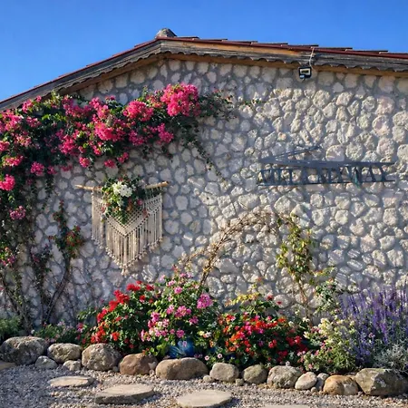 Myway Kalkan